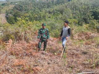 Cegah Karhutla, Babinsa Koramil 417-07/Kayu Aro Sertu Kardesal Rutin Patroli Wilayah
